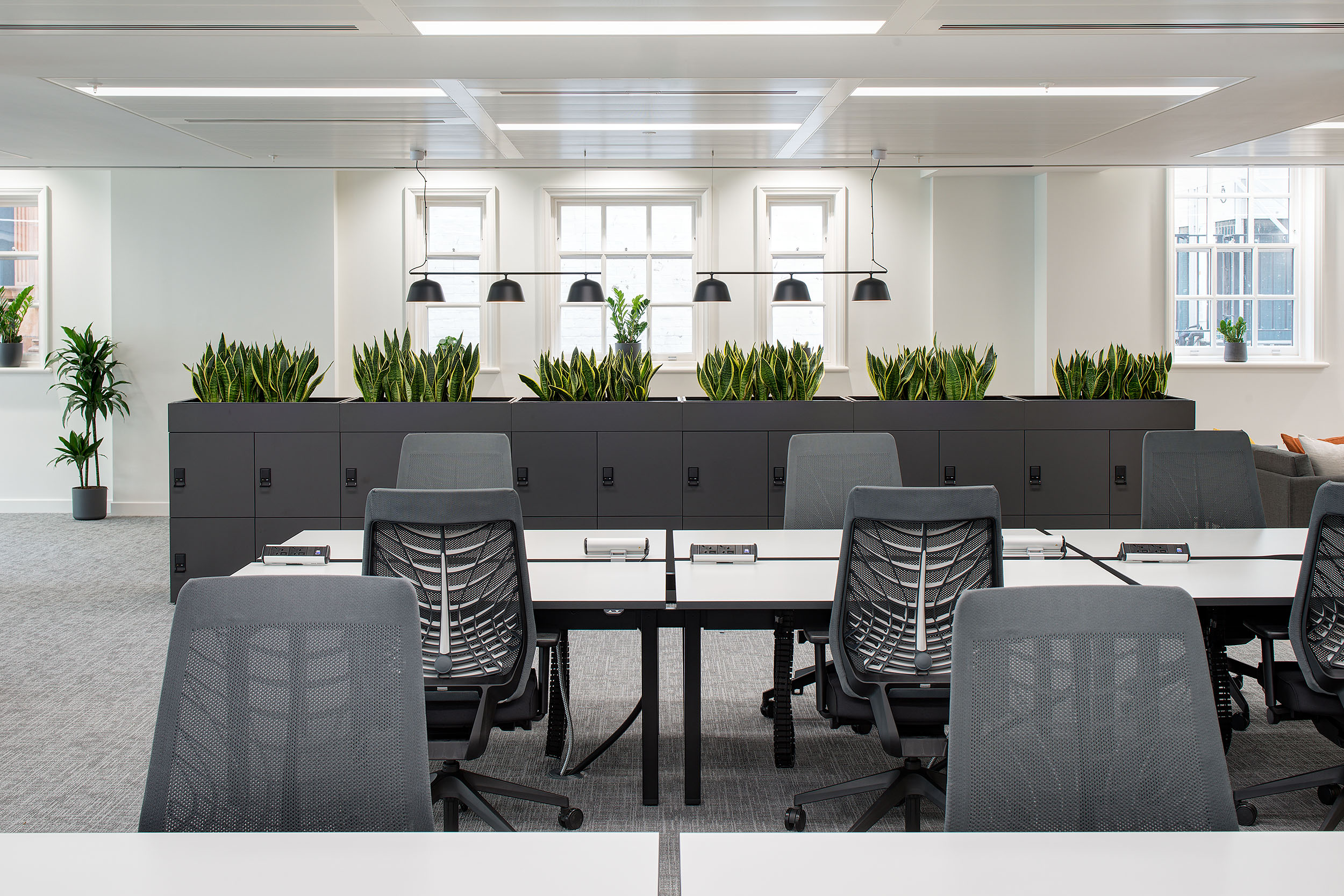 Open workspace at 20 St James Street Level 1, with grey ergonomic chairs, desks, and planter dividers for a modern, green aesthetic.