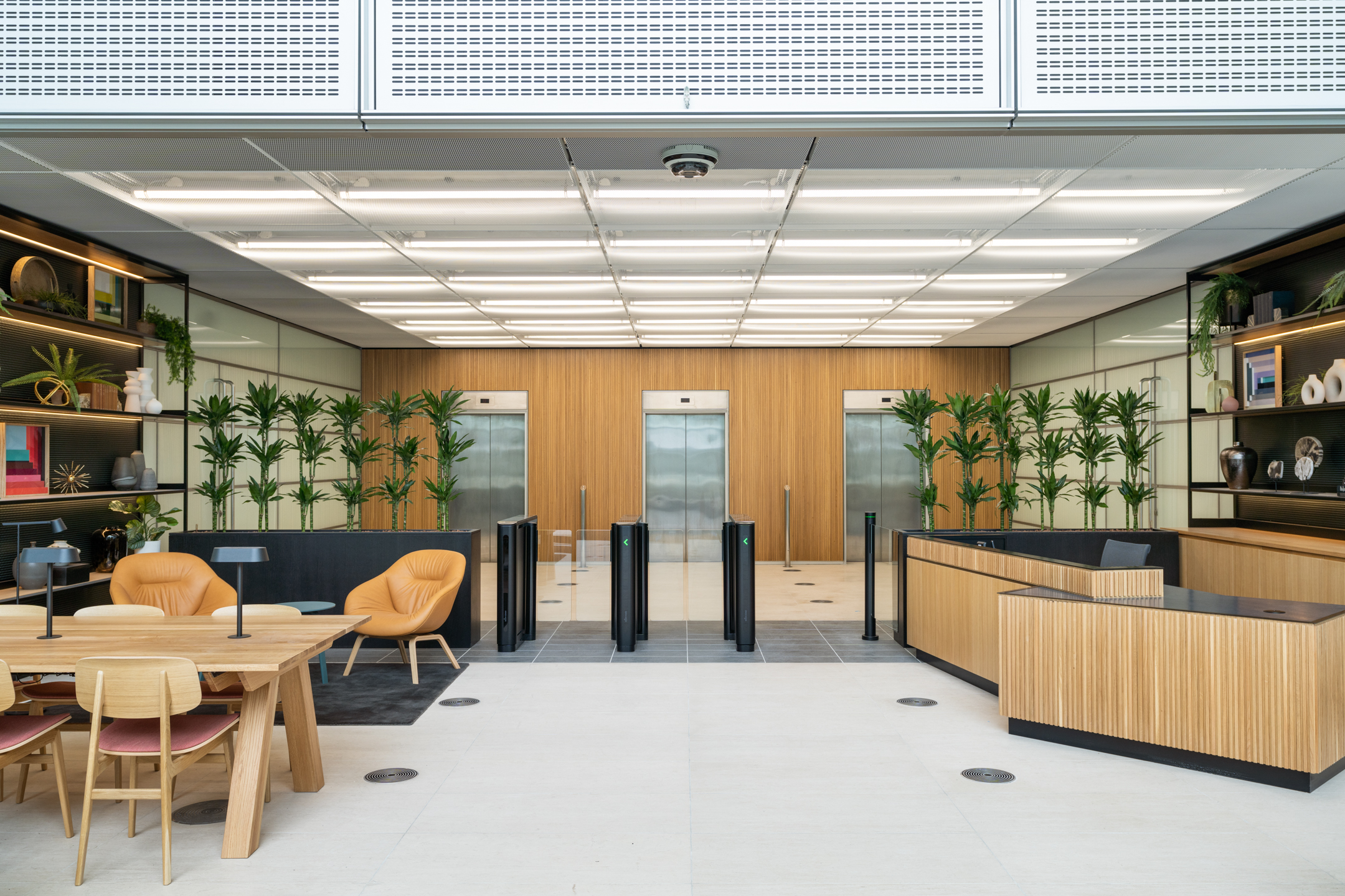 Modern reception area at Chiswick Business Park Building 12 with natural wood finishes and greenery - Cat-A fit-out by Ambit