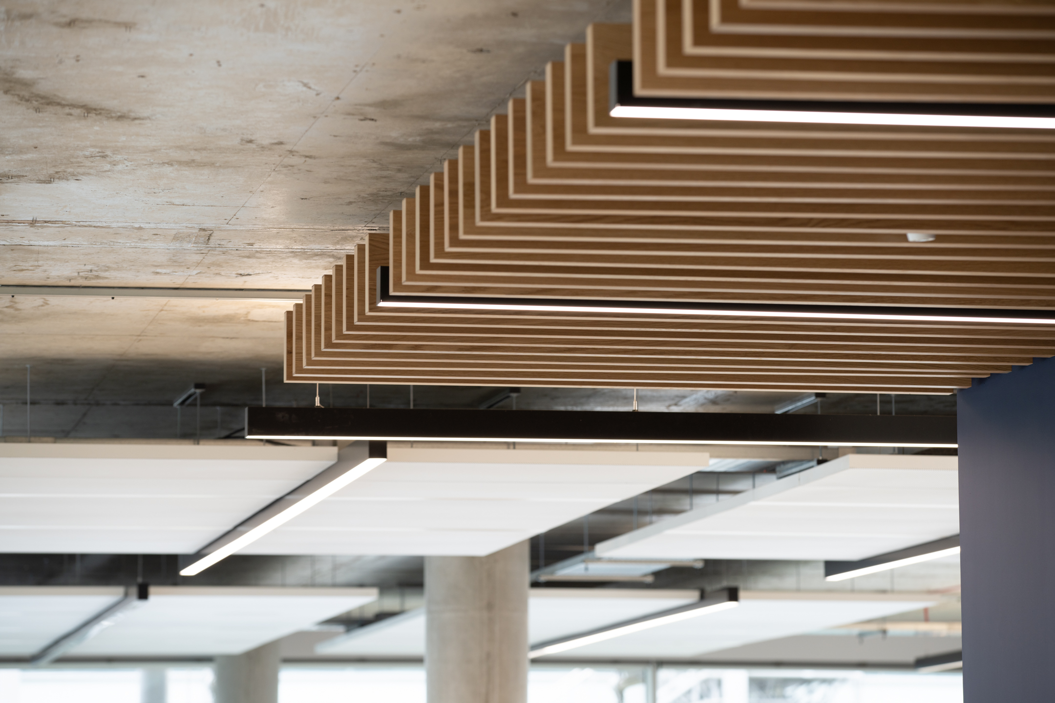 Minimalist design with natural lighting in open workspace at Chiswick Business Park Building 12 - Cat-A fit-out by Ambi