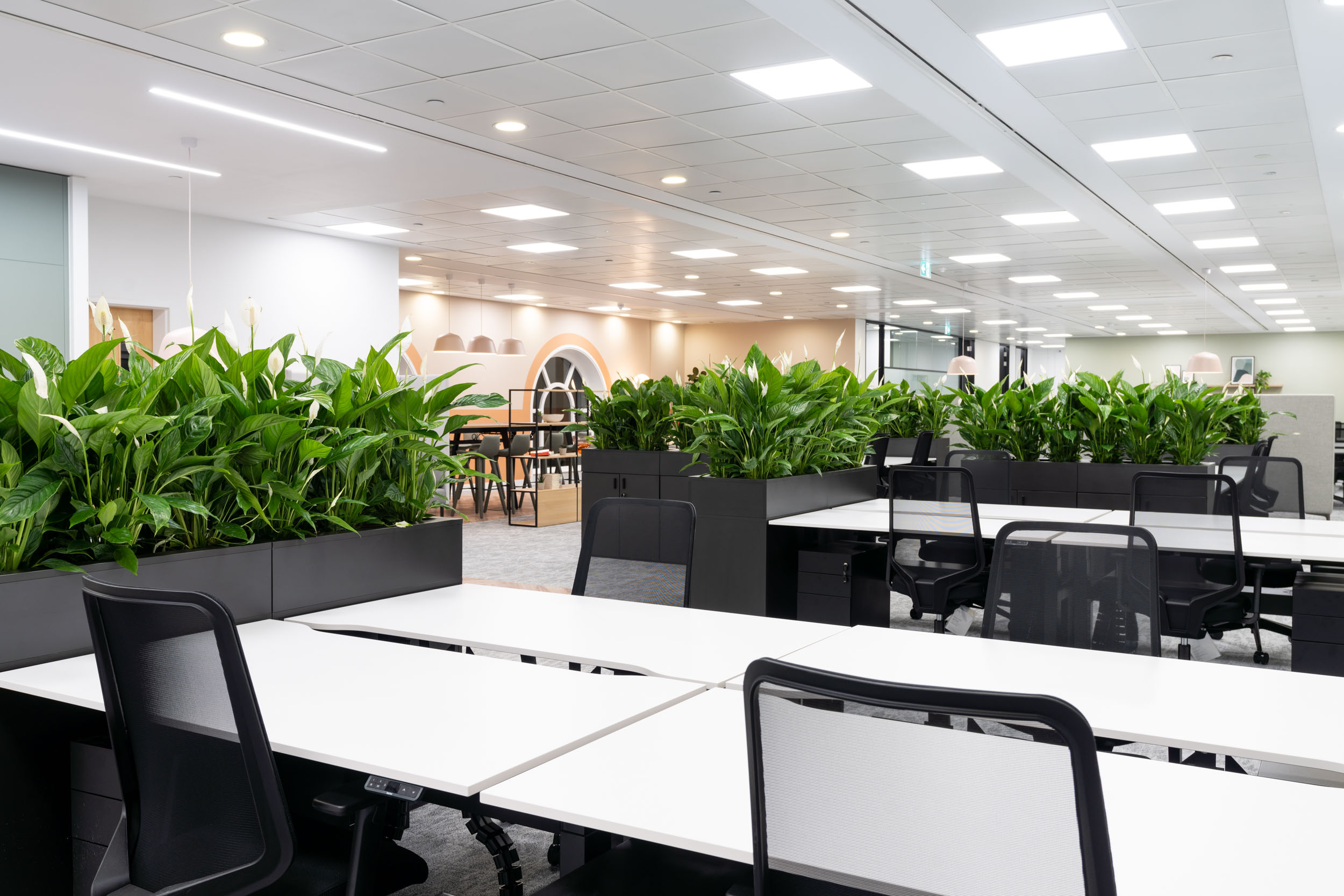 Open-plan office area with greenery at One Strand, Trafalgar Square - sustainable, Tenant-Ready™ fit-out by Ambit