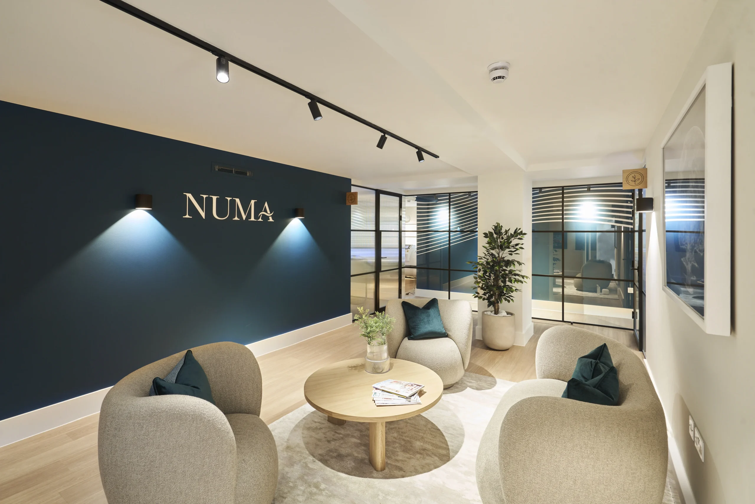 Numa lounge area with modern seating and blue accent wall - Ambit fit-out for a contemporary workspace