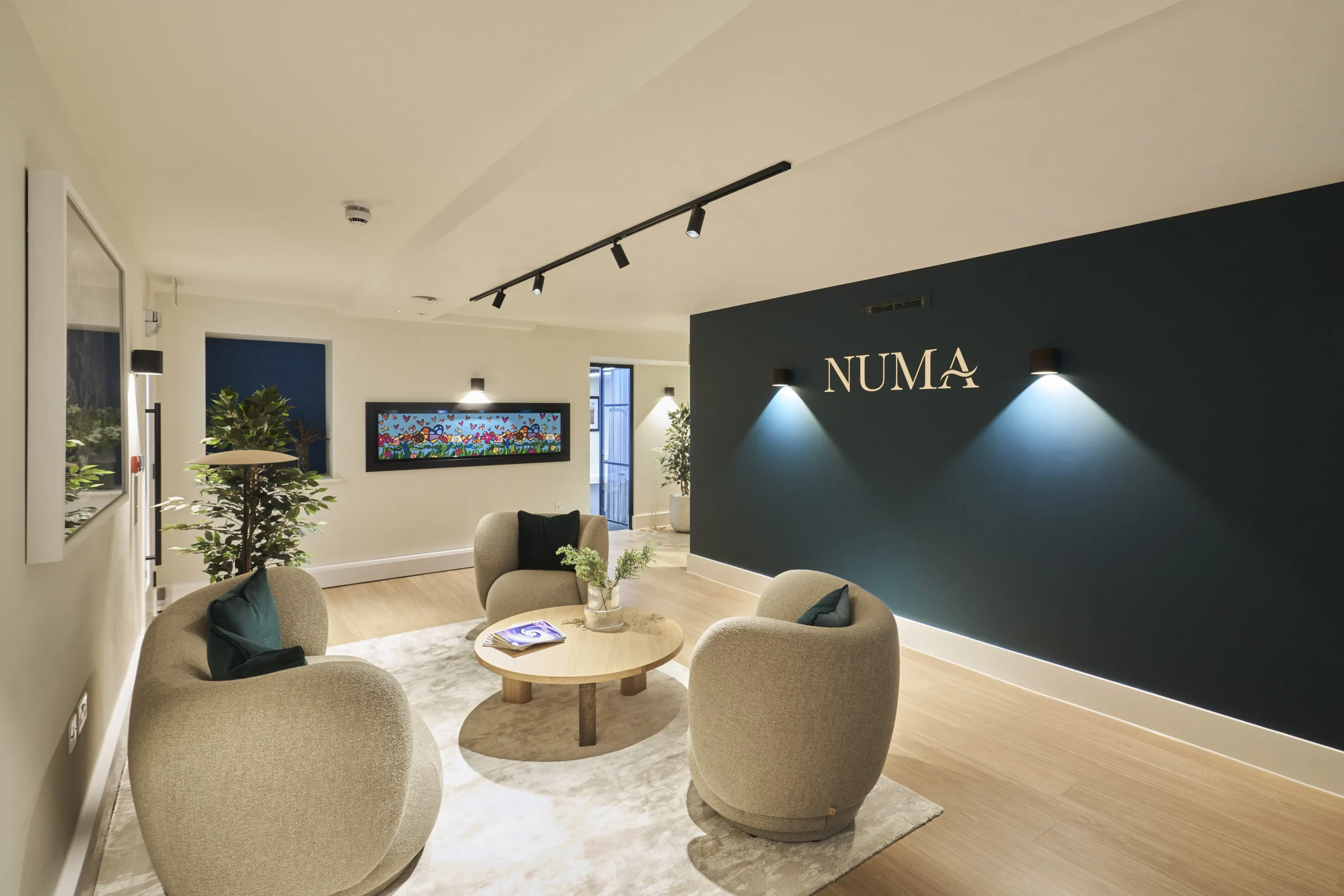 Stylish reception area at Numa with modern decor and greenery - created by Ambit for an inviting space