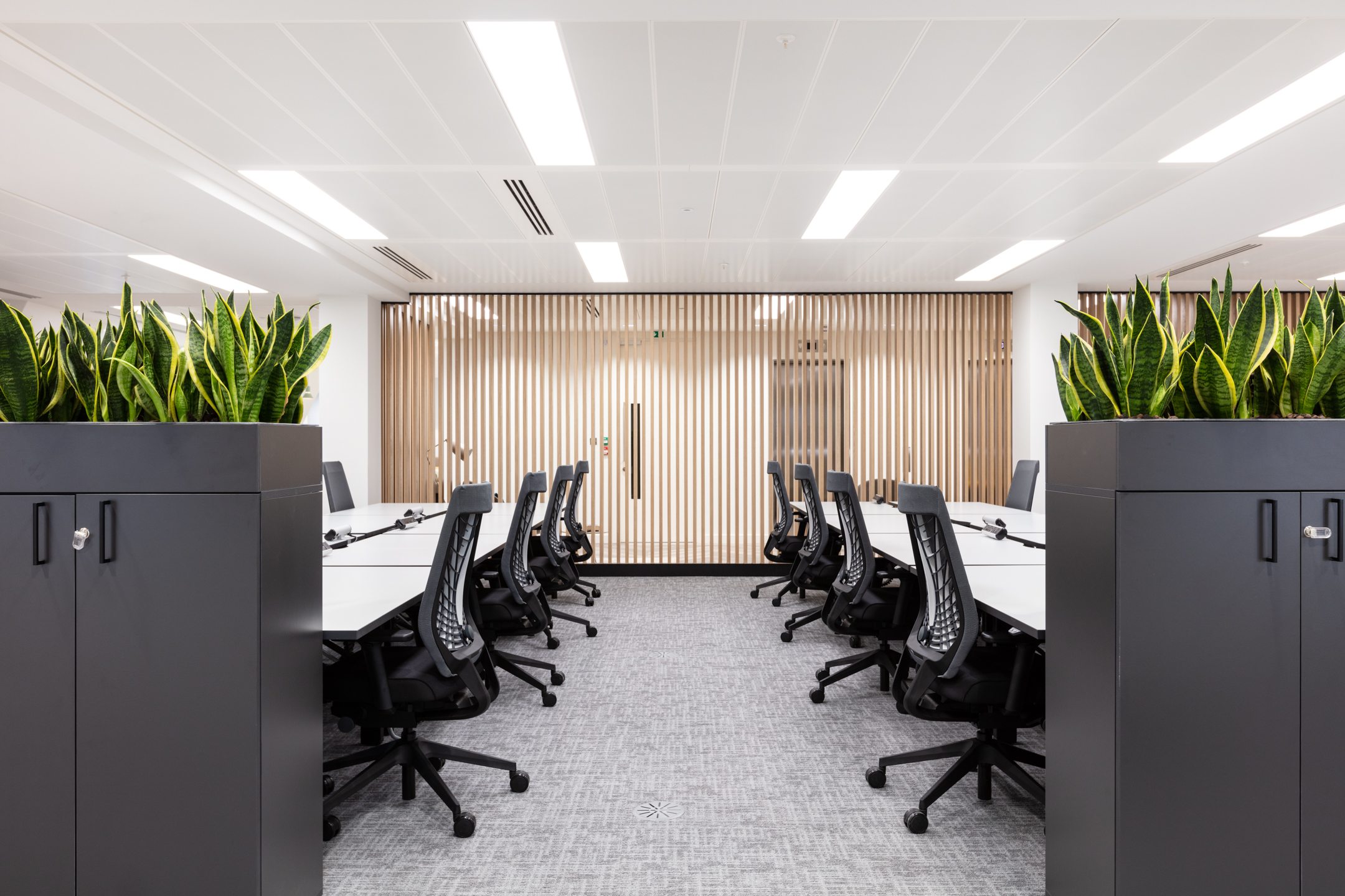 Spacious office area at 20 St James’s Street, Level 8 with rows of ergonomic chairs, large work desks, and green plant partitions, complemented by wooden slat accents on the wall.