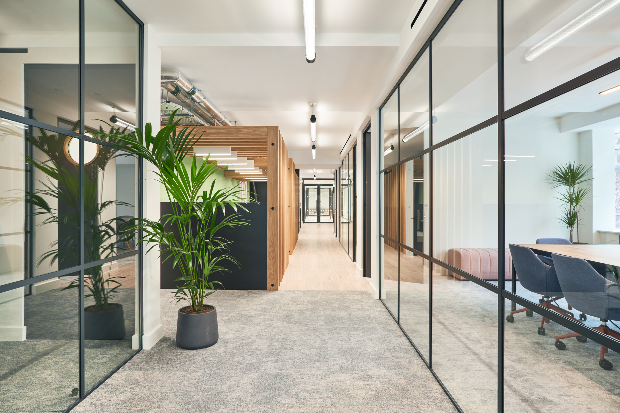 Corridor with glass partitions at 101 New Cavendish Street, Level 2, leading to office spaces with plants and modern lighting.