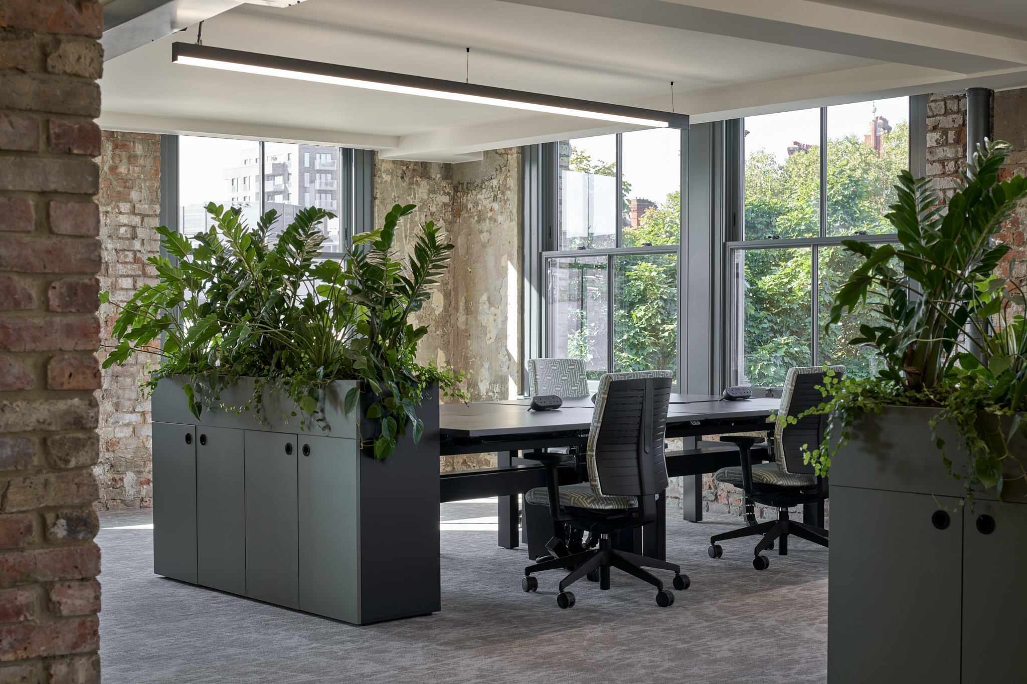 Standing desks with biophilic plants plotted